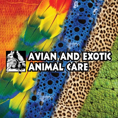 Avian And Exotic Animal Care (@avianandexotic) / Twitter Avian And Exotic Animal Care (@avianandexotic) / Twitter