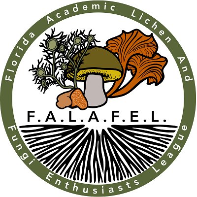 Florida Academic Lichen And Fungi Enthusiasts League