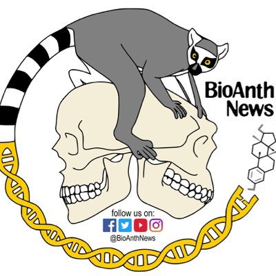 All about biological anthropology! Be sure to join our large FB group for discussions, and subscribe to our YouTube Channel & Instagram accounts (Bioanth_news).