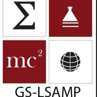 Rutgers Newark LSAMP (@lsampnewark) 's Twitter Profile