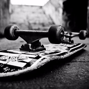Skateboard765's profile picture. Welcome to the Skateboarding Twitter will take photos and meet ups with all the Skateboarding members