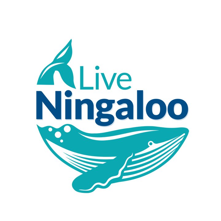 Live Ningaloo Bespoke Oceanic Touring | Ningaloo Reef Exmouth WA Australia | Storytelling Rockstars Sustainability & Conservation https://t.co/ZlMZOuum6X