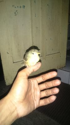 Aris12765372's profile picture. Tidak ada