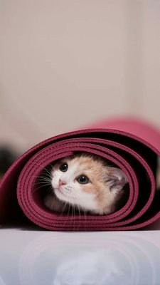 I am open to all my dears..