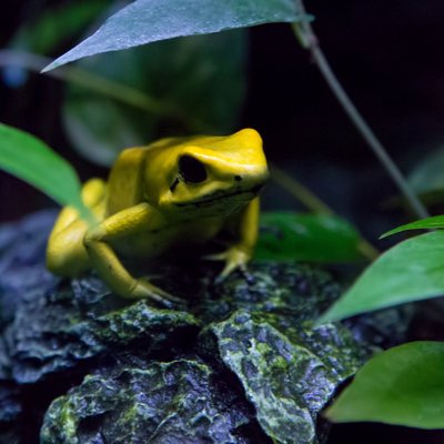 1990SEXY_LOVE's profile picture. 力に信用を得よ