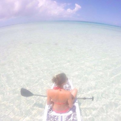 LauraJaneHold's profile picture. I like penguins.