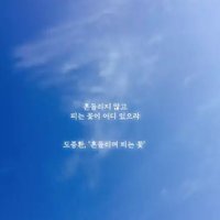 공효정 (@taadferm1) 's Twitter Profile