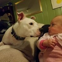 Jared Cable (@jaredcable1) 's Twitter Profile