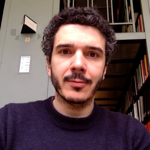 Maître de conférences en science politique à l'Université Paris 1 Panthéon-Sorbonne. Co-directeur du Master