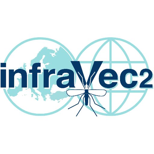 infravec2 Profile Picture