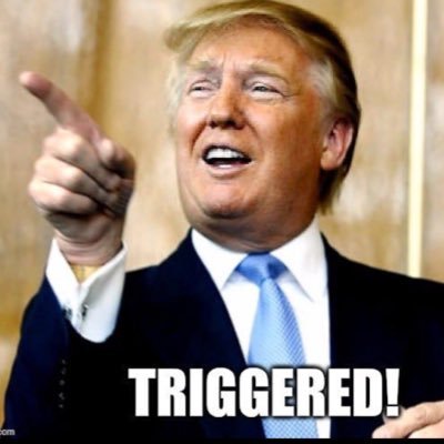 comebk2reality's profile picture. Ignorance, stupidity and liberal bullshit WILL be mocked. It must be done!