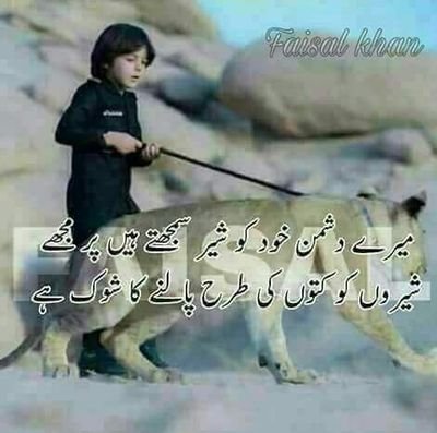 SufianSapra's profile picture. Mr sapra