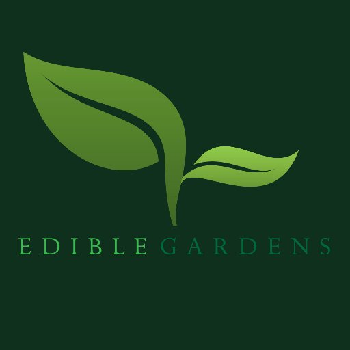 From herb boxes to food forests & everything in between. Designing, installing & maintaining edible gardens in the community.