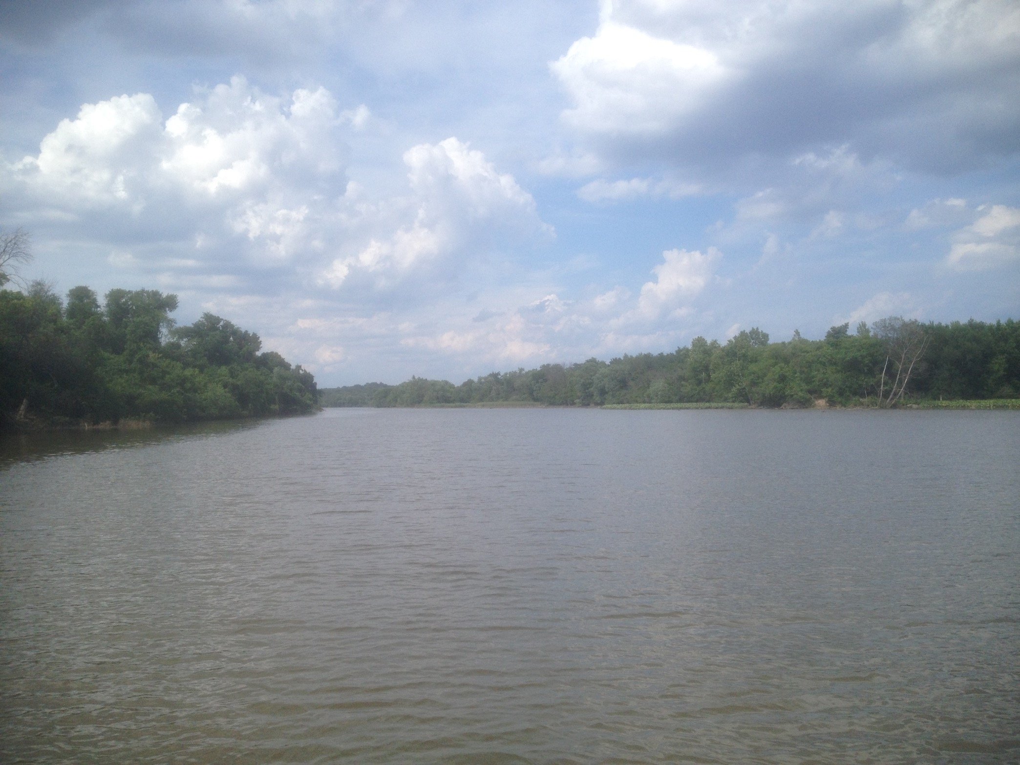 DCchestn's profile picture. Civic Ecologist
Essential Services Consultant