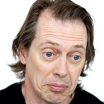 A random picture of Steve Buscemi every day