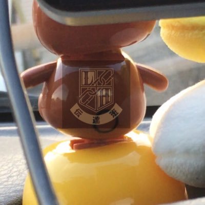 e0en0617's profile picture. ローラン 20↑ マンドリン弾きCalace1962 フォロバは気分 ミュートリムブロご自由に 楽しい事は呟きません