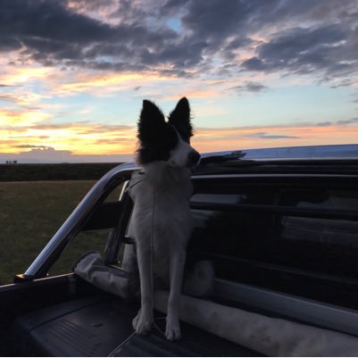 JCapandeguy's profile picture. 