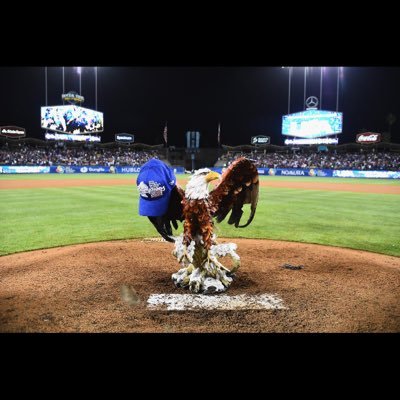 CaptainMattB's profile picture. 