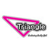 @Triangle_Game