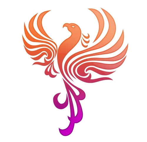 ALLFLYENT's profile picture. All Fly Entertainment
AllFlyEnt@gmail.com