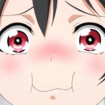 にこひめさんのプロフィール画像