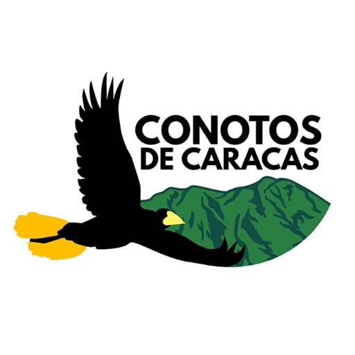 Proyecto de ciencia ciudadana que estudia la población de Psarocolius decumanus en Caracas - Citizen science project monitoring urban Crested Oropendolas 🇻🇪