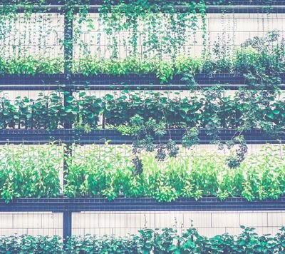 will_HBJZ's profile picture. NVOCC:MOC-NV08172 Air & Sea freight from China to Mexico and WCSA sales5@mondayshipping.com