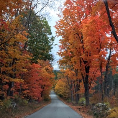 NYCtoME1's profile picture. Maine to NYC and back again