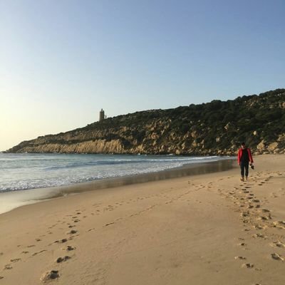 PipelineF's profile picture. Maestro interino de PT. Ilusionado con la gamificación, ABP y aprendizaje cooperativo como medio para incluir los 100 niveles de cada aula. Ecofriendly