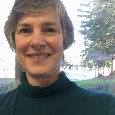 Clinical researcher studying trauma, mental health risk prediction, & prevention. Past president of ISTSS. https://t.co/321T8rOxLn