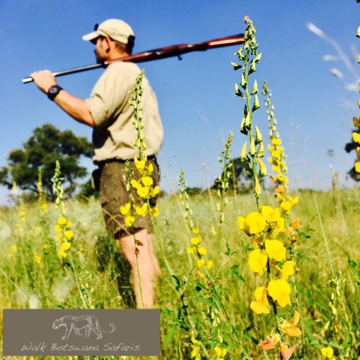 walkbotswana's profile picture. info@walkbotswanasafaris.com