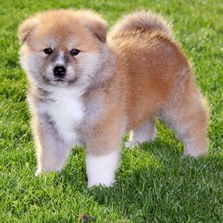 BenjaminHei's profile picture. 