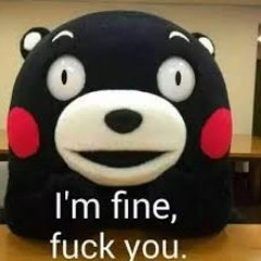 localproxy's profile picture. Long live play