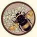 DHS Save The Bees (@dhssavethebees) Twitter profile photo DHS Save The Bees (@dhssavethebees) Twitter profile photo