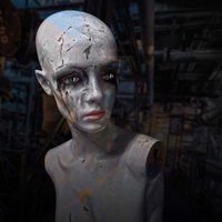 Robb's Problem (@robbsproblem) 's Twitter Profile