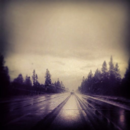 PanicCoffee's profile picture. Professional copywriter by day, novel and short-story writer by night.