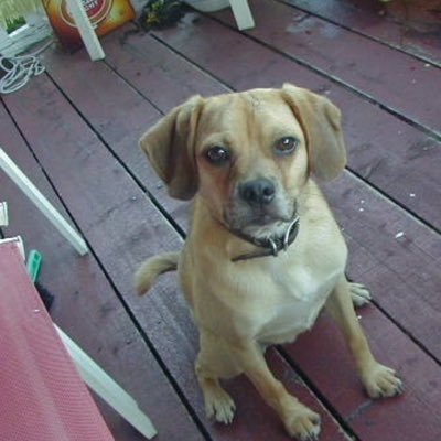 jimtlahey's profile picture. 