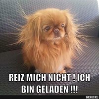 Christian Fischer (@fischer31) 's Twitter Profile
