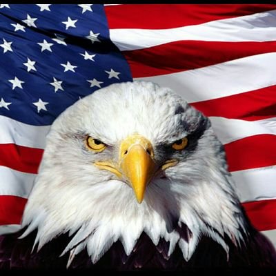 charles_tindol's profile picture. I bleed red white and blue.
I love America, but don't care  for her politicians.
All politicians and judges need term limits 
#TERMLIMITS 
#AMERICA FIRST
#MAGA