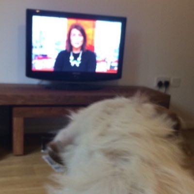 Acting Executive Producer. Goose Fair fanatic moonlighting in Lestah. Love a scruffy dog and a good story. Ronnie the dog’s biggest fan.