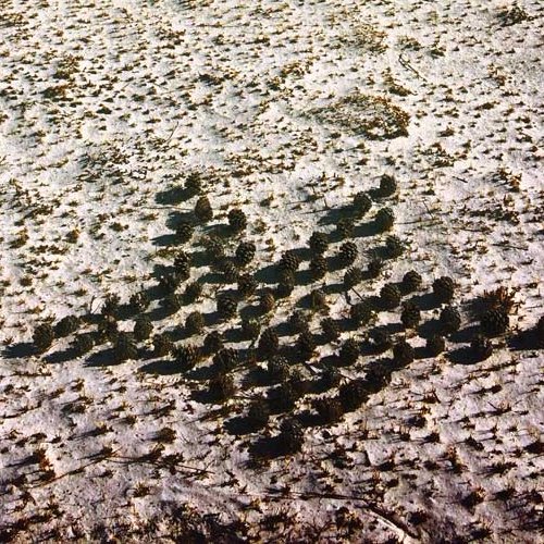 ͚̻̯̖͓̟̣̜̲̹̙͍̫̹̭̮̬̟̣̜̲̹̙͍̫̹̭̮̬͈̗̦̥͕̤͚̻̯̖͓̟̣̜̲ͣͣͩ̏͑̓̈ͨ́̄̑̑́́̃̐ͤͯͨ͛͊̾̏̔ͪ̄ͯ̀ͨ́̄̑̑́́̃̐ͤͯͨ͛͊̾̏̔ͪ̄ͯ̀͌͒̌̐̊ͯͫͪͣͣͩ̏͑̓̈ͨ́̄̑̑́́̃͘̚̚̚̚̚͘̚͟͟͟͡͡ͅͅͅͅͅͅ