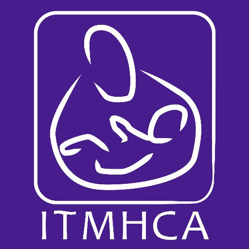 ITMHCA's profile picture. ITMHCA promotes the well-being of infants, young children and their families through advocacy, community relationships, education and professional development