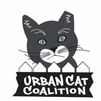 Urban Cat Coalition(@UrbanCatsMKE) 's Twitter Profile Photo