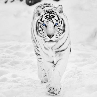 mahrukh_kahn's profile picture. 