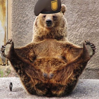 Elsuri313's profile picture. 