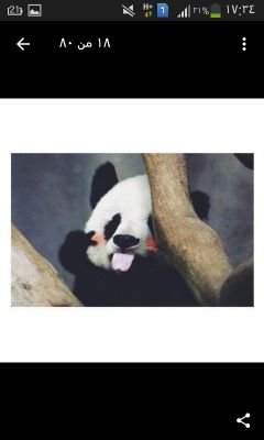 PMMmC8yDxRBH4QJ's profile picture. الصداقه هي اجمل مافي الؤجؤد