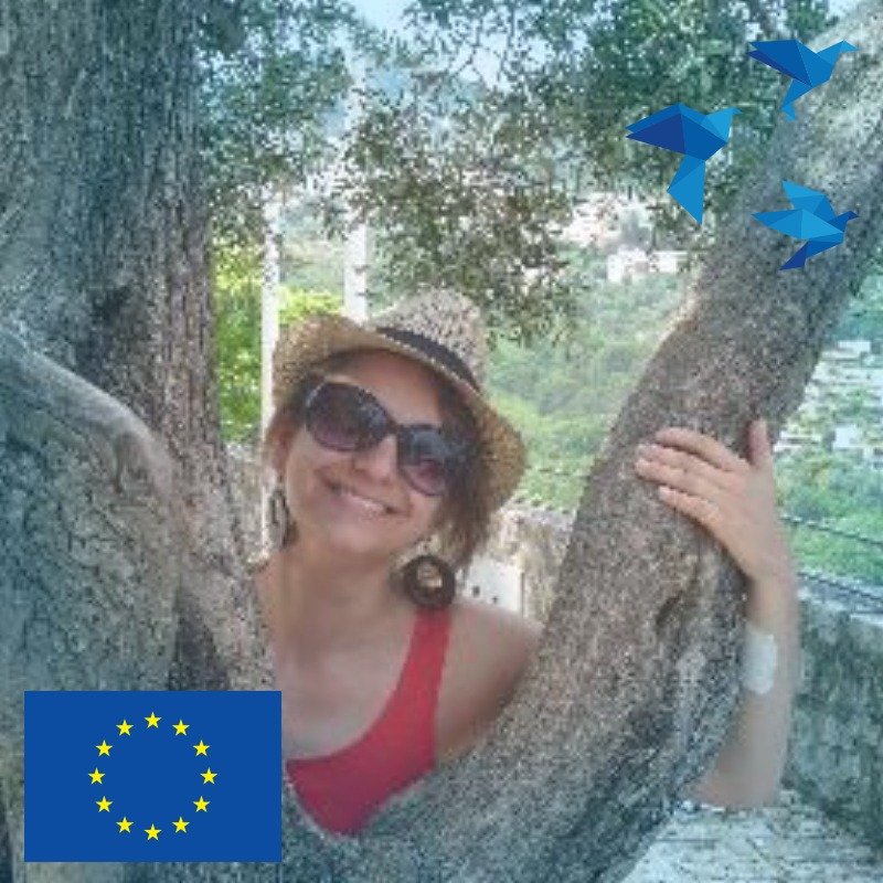 OliviaB_Bernard's profile picture. Follow #EU affairs from Paris. Support “Unity in Diversity” in the EU and more #tolerance. “For the plane in the fog, the mountain is unforeseeable..”