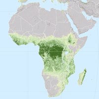 Reforest Africa(@ReforestAfrica) 's Twitter Profileg
