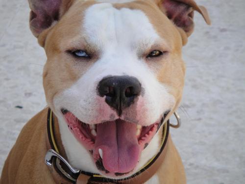 selbycy's profile picture. 