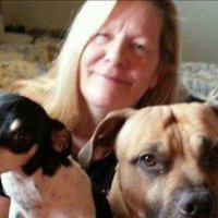 Rochelle Loeffler πππ (@pyrowshell) 's Twitter Profile